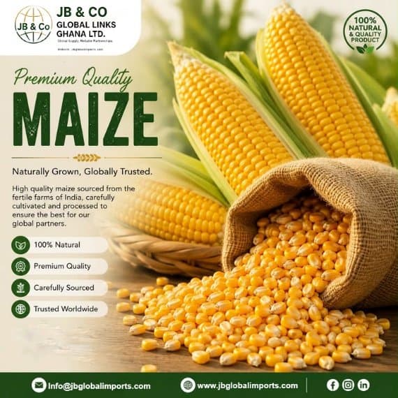Corn / Maize